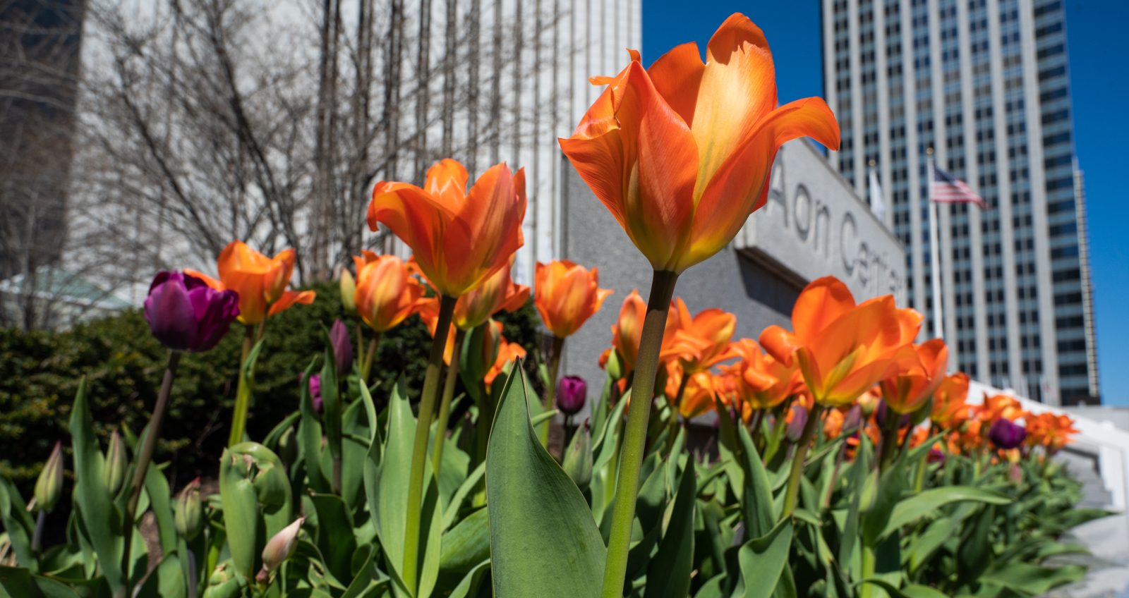 27 Things To Do In Chicago This Weekend: Record Store Day, CIVL Fest, Makers Markets And More