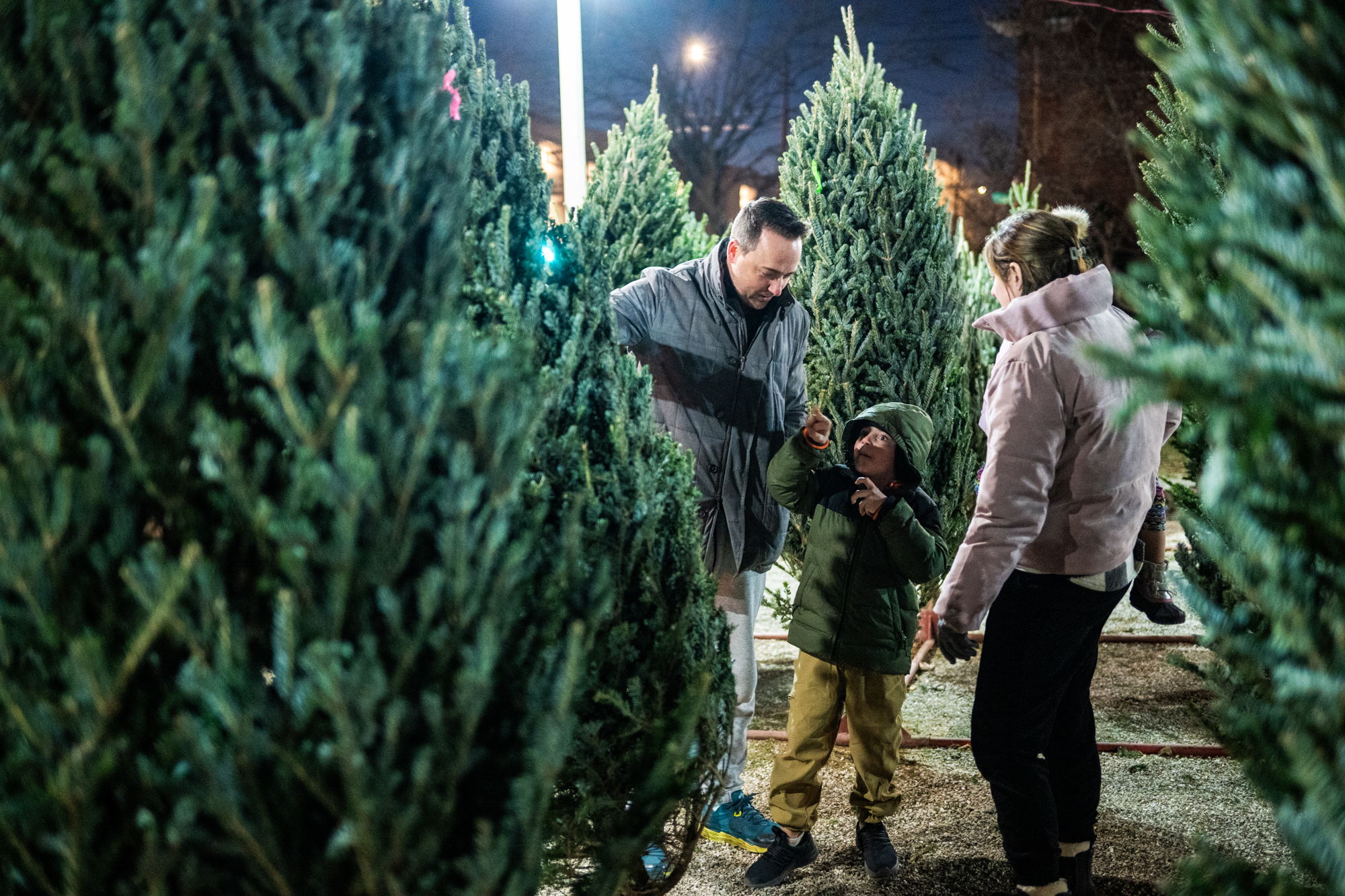 Looking For A Real Christmas Tree? Here’s Where To Find One In Chicago
