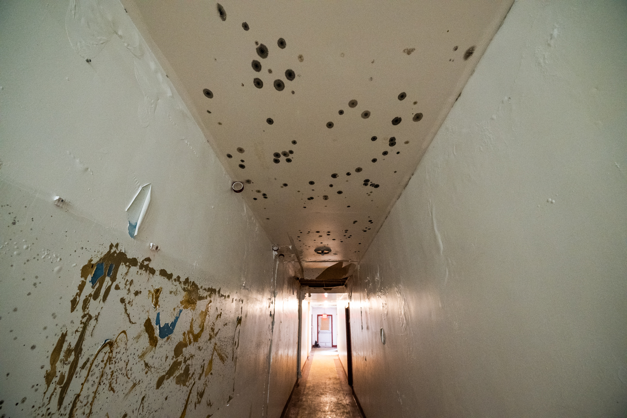 City Council Passes ‘Healthy Homes’ Ordinance, Taking First Step Toward Proactive Rental Inspections