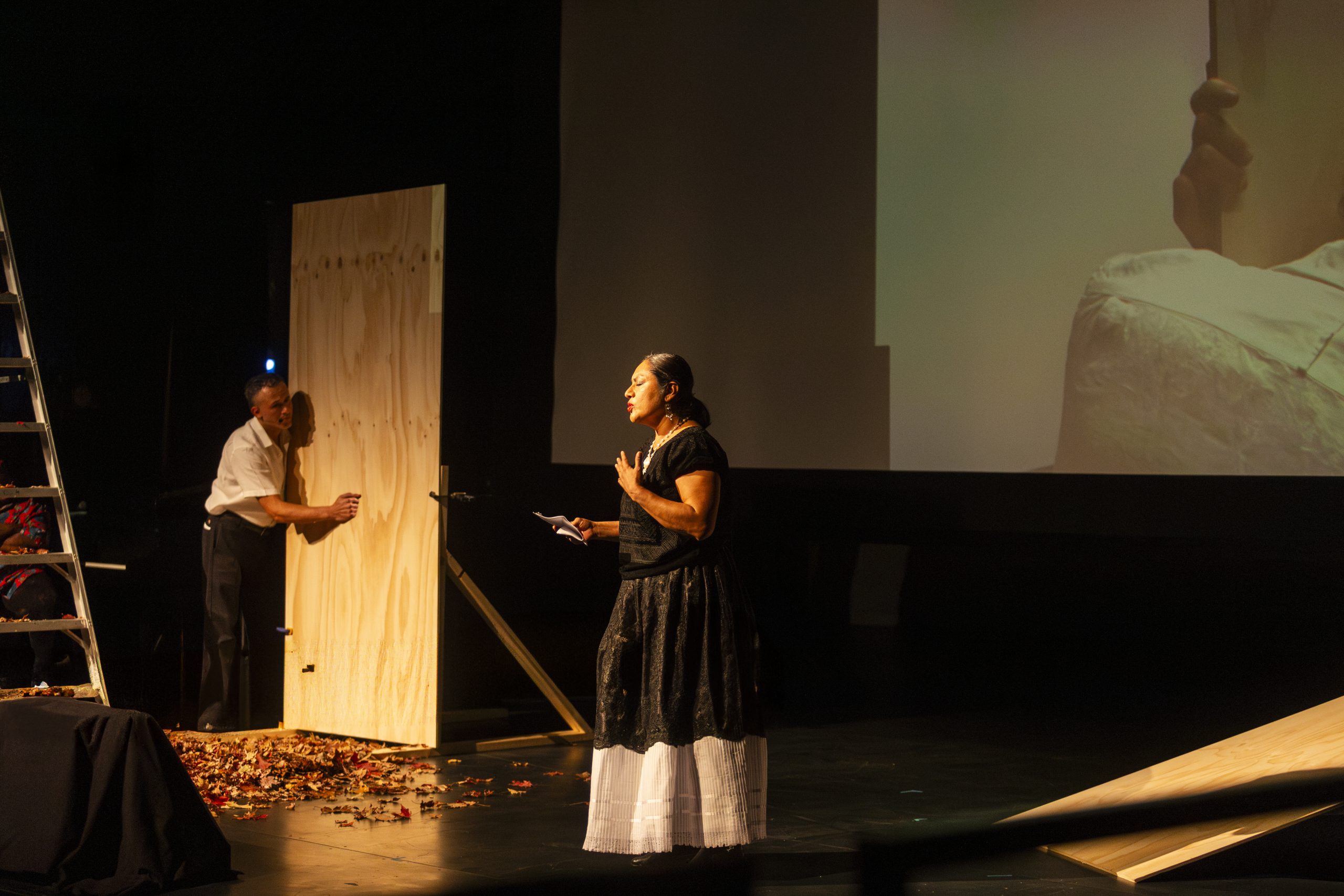 Lit And Luz Fest Returns This Weekend, Connecting Mexican And Chicago Artists For 12th Year