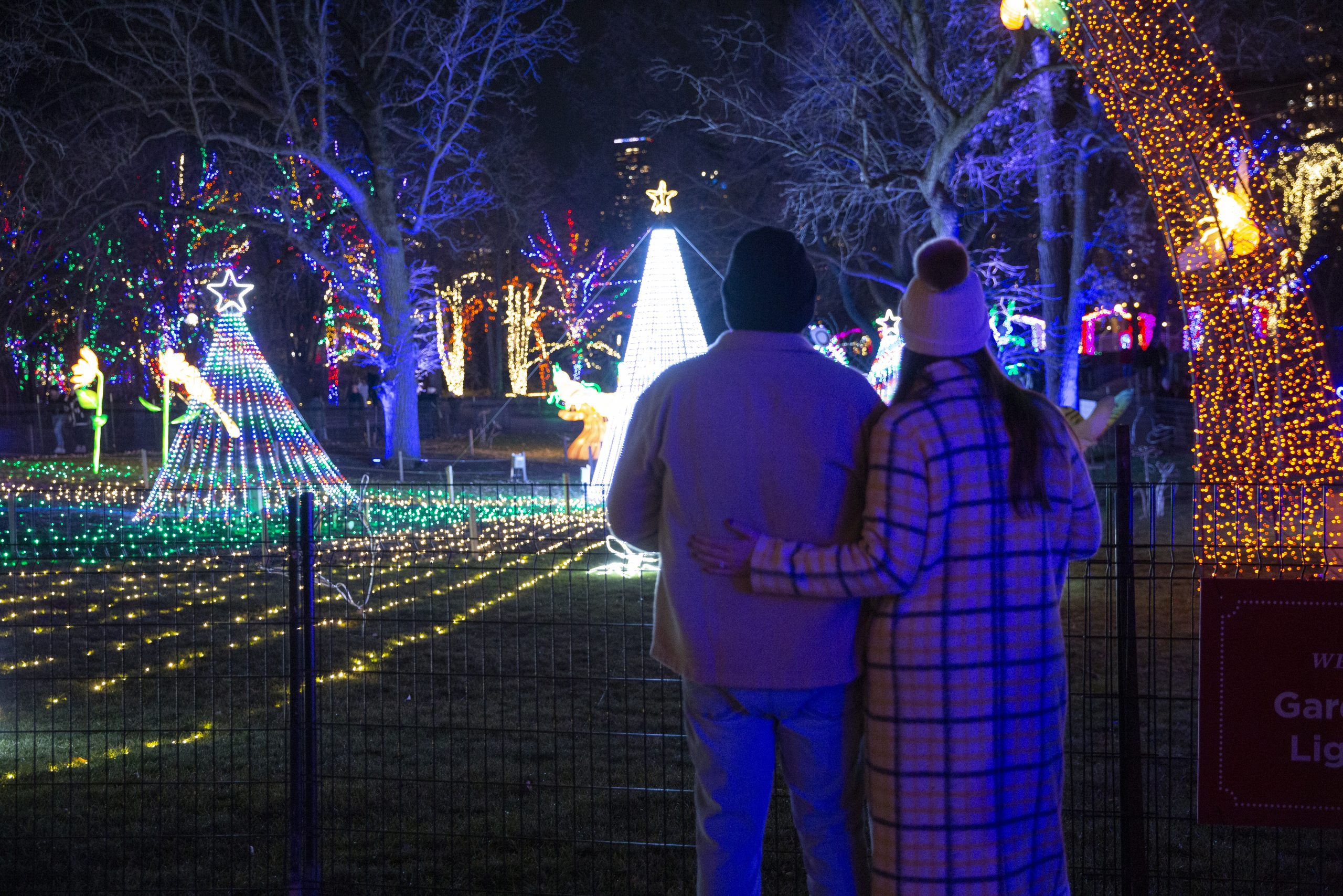 12 Things To Do Outside In Chicago This December