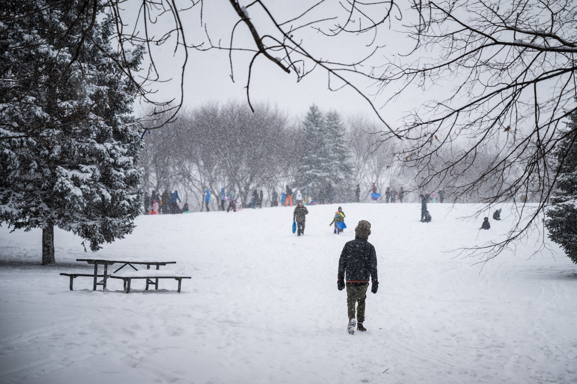 Here’s Block Club Chicago’s Annual Bucket List To Get You Through The Rest Of Winter