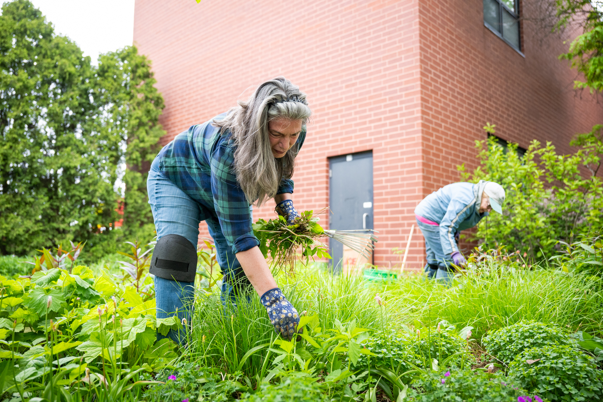 Garden Club Celebrates 100 Years Of Digging Through Dirt On Far South Side