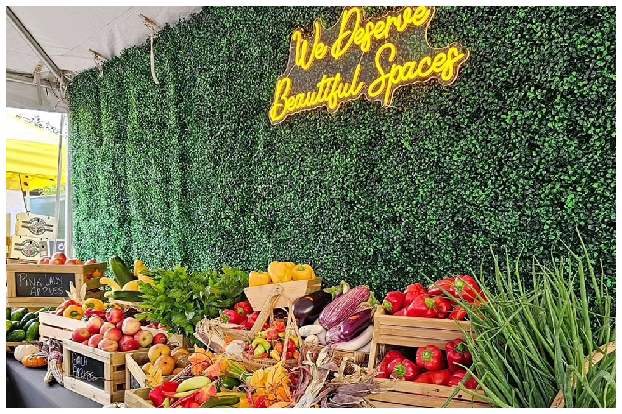 Farmers Markets Return To Auburn Gresham, Englewood And Greater Grand Crossing This Summer