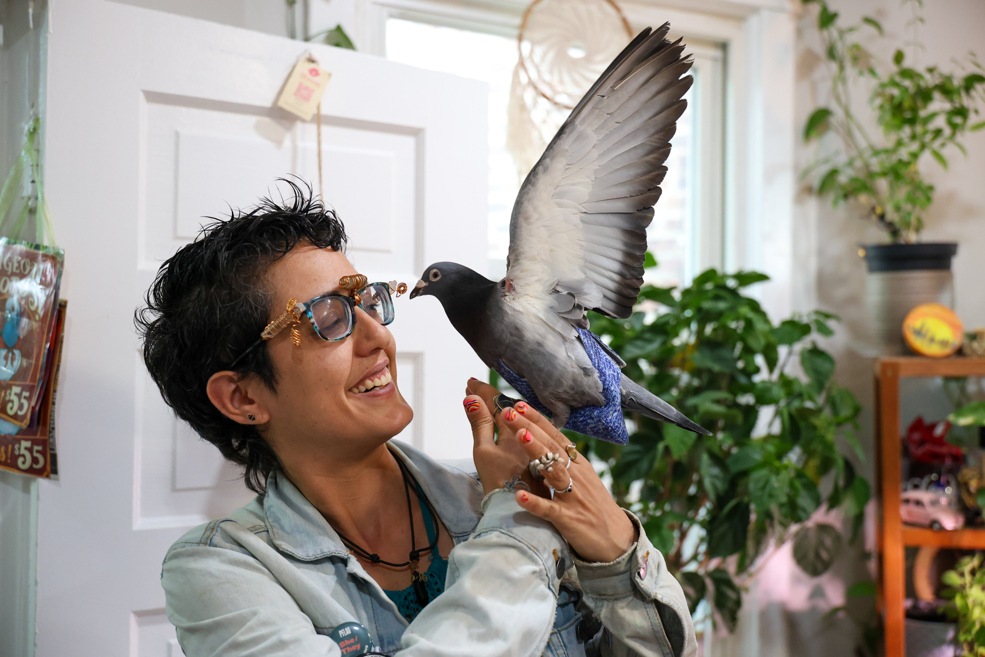 Meet Pedro Paloma, Logan Square’s Famous Pet Pigeon