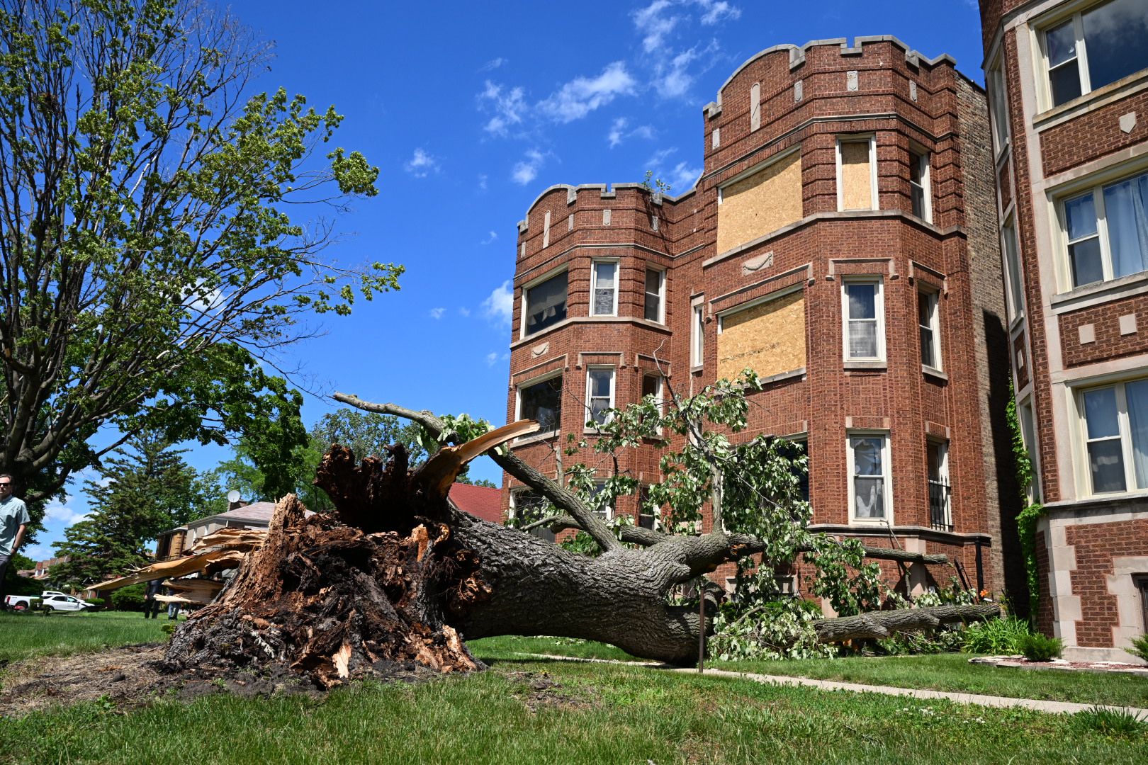 South Siders Still Waiting For Tree Cleanup After June Storms, But City Departments Are ‘Overwhelmed'