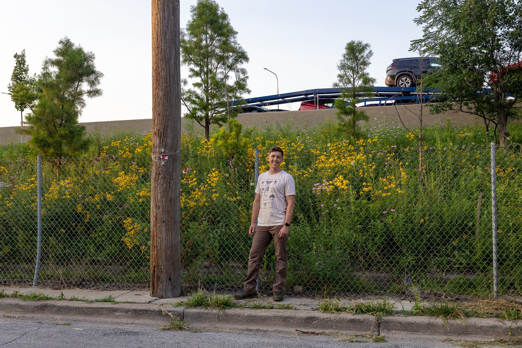 A Sliver Of Land Along The Kennedy Expressway Has Been Reborn As A Native Prairie