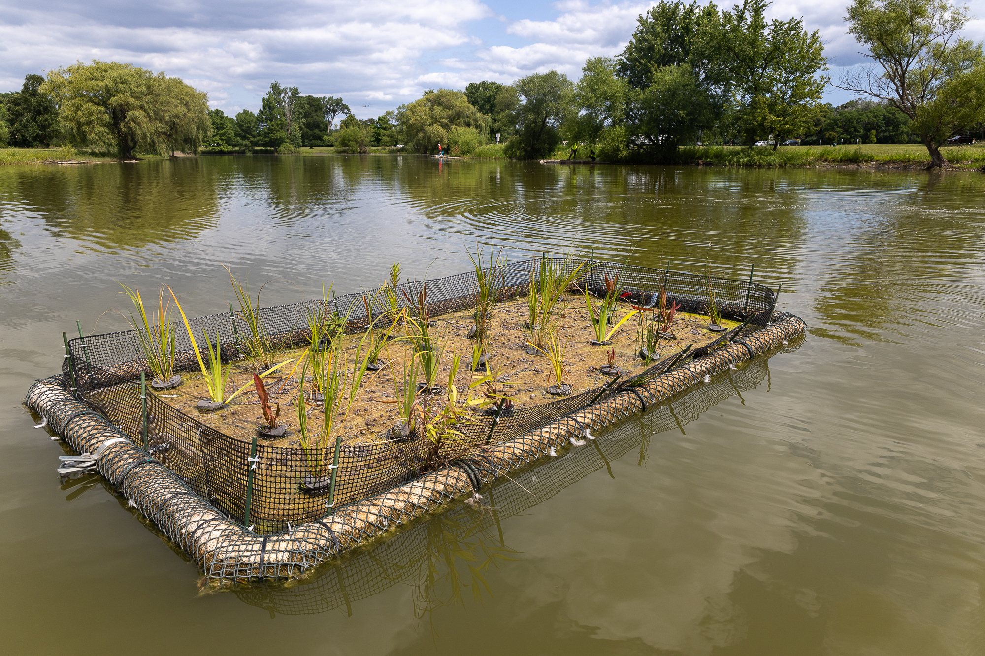 This Floating Wetland Near O'Hare Is Working To Improve Water Quality On The Northwest Side