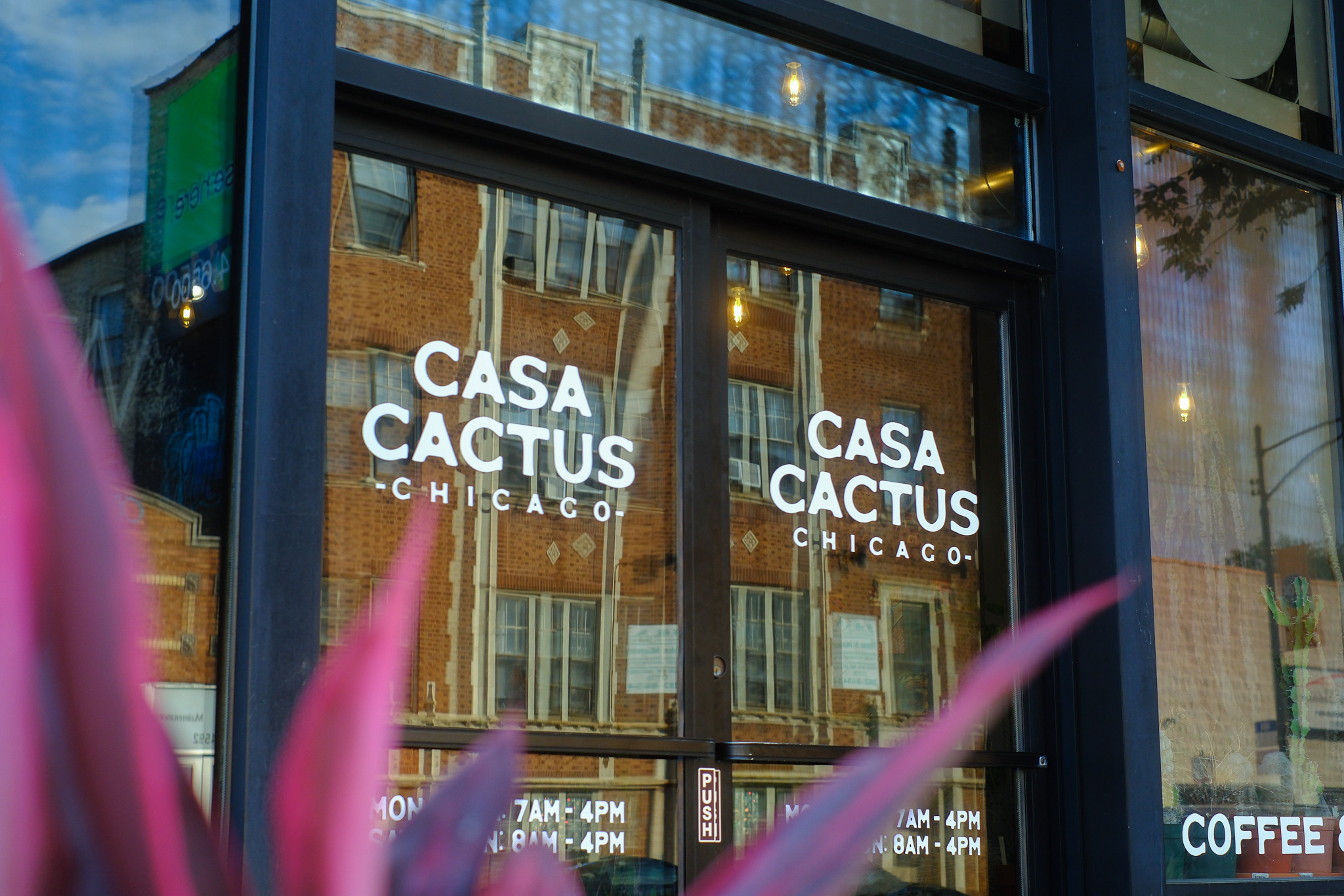 Casa Cactus’ Unexpected Closure Due To Licensing Snafu Spurs Neighbors To Donate