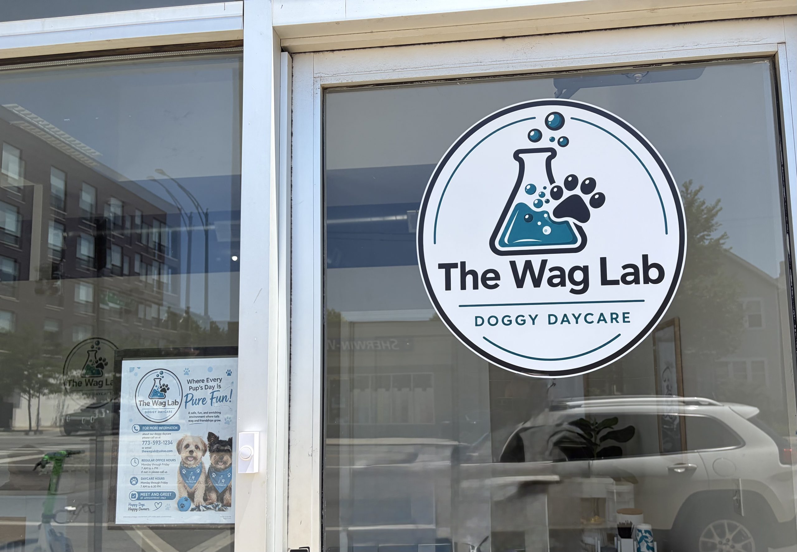 The Wag Lab, Bucktown’s New Doggy Daycare, Takes Donations For Homeless Pets And...